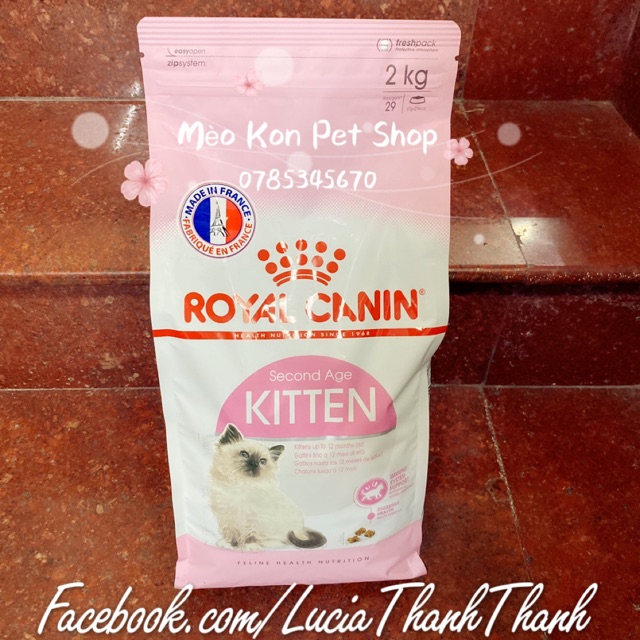 Thức ăn cho mèo Royal Canin Kitten