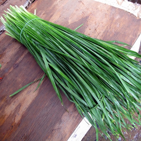 Hạt giống hẹ ta ăn lá - gói 2gram( 330  hạt )