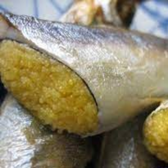 [Chỉ Giao HCM] - Cá trứng 500gram- Na-uy