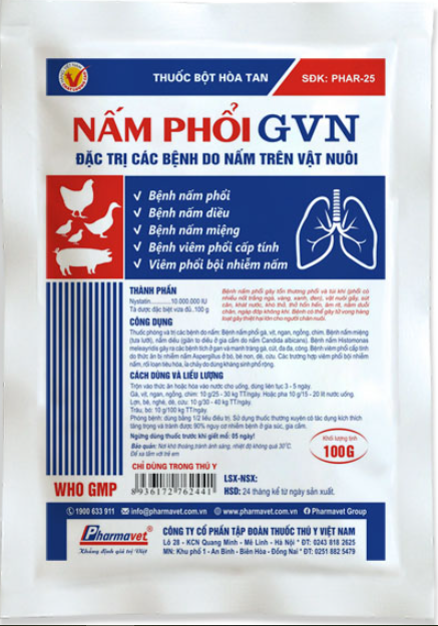 Nấm phổi GVN nấm diều, nấm đường tiêu hoá gói 10g, 50g