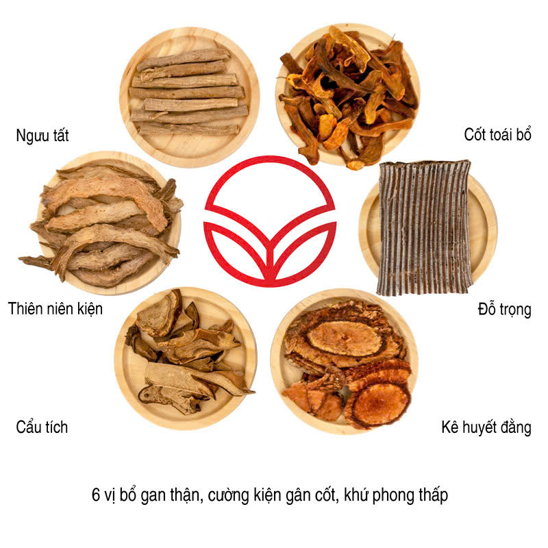 Đại Bổ Thang Đặc Biệt thang ngâm 10-12 lít