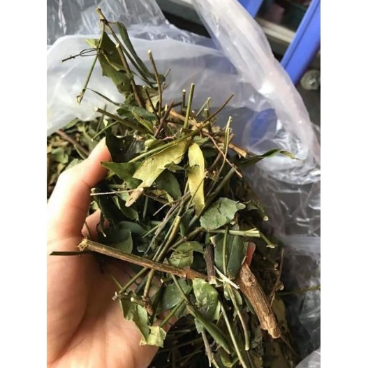 1kg chè vằng giảm cân lợi sữa
