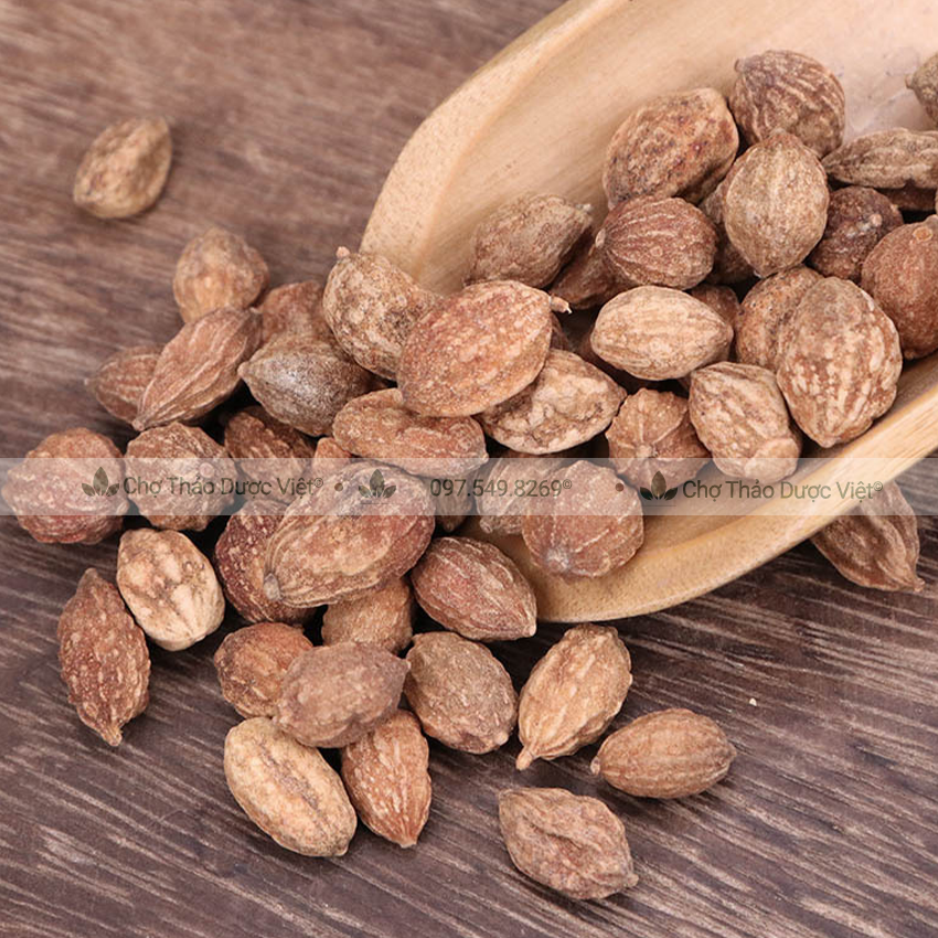 Ích trí nhân khô 1kg, hạt to, sạch, thơm, hỗ trợ bổ thận, giảm tiểu đêm, tốt cho đường tiết niệu