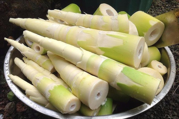 Măng nứa 500g (Măng lá tươi 500g măng/ 1 bịch)