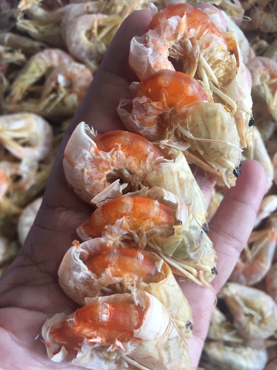 500g TÔM ĐẤT PHƠI KHÔ (nhỏ) - BÁN ĐÚNG GIÁ - HÀNG ĐÚNG CHẤT