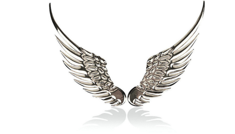Logo dán xe ô tô cánh chim đại bàng