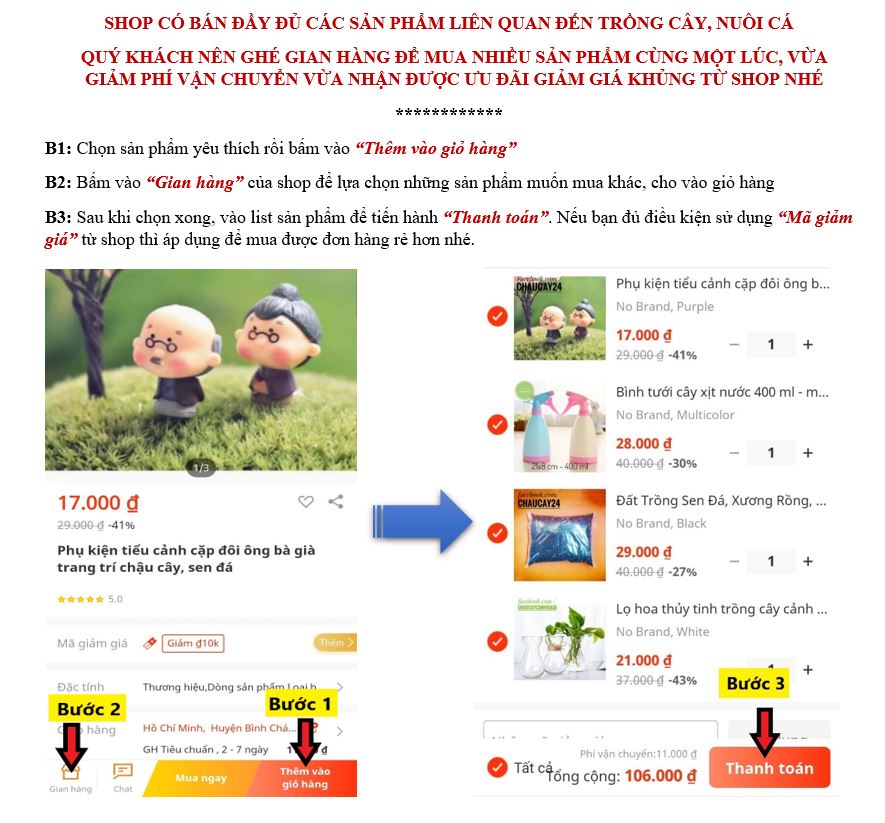 Hạt Giống Cà Chua Dễ Trồng Mọng Nước