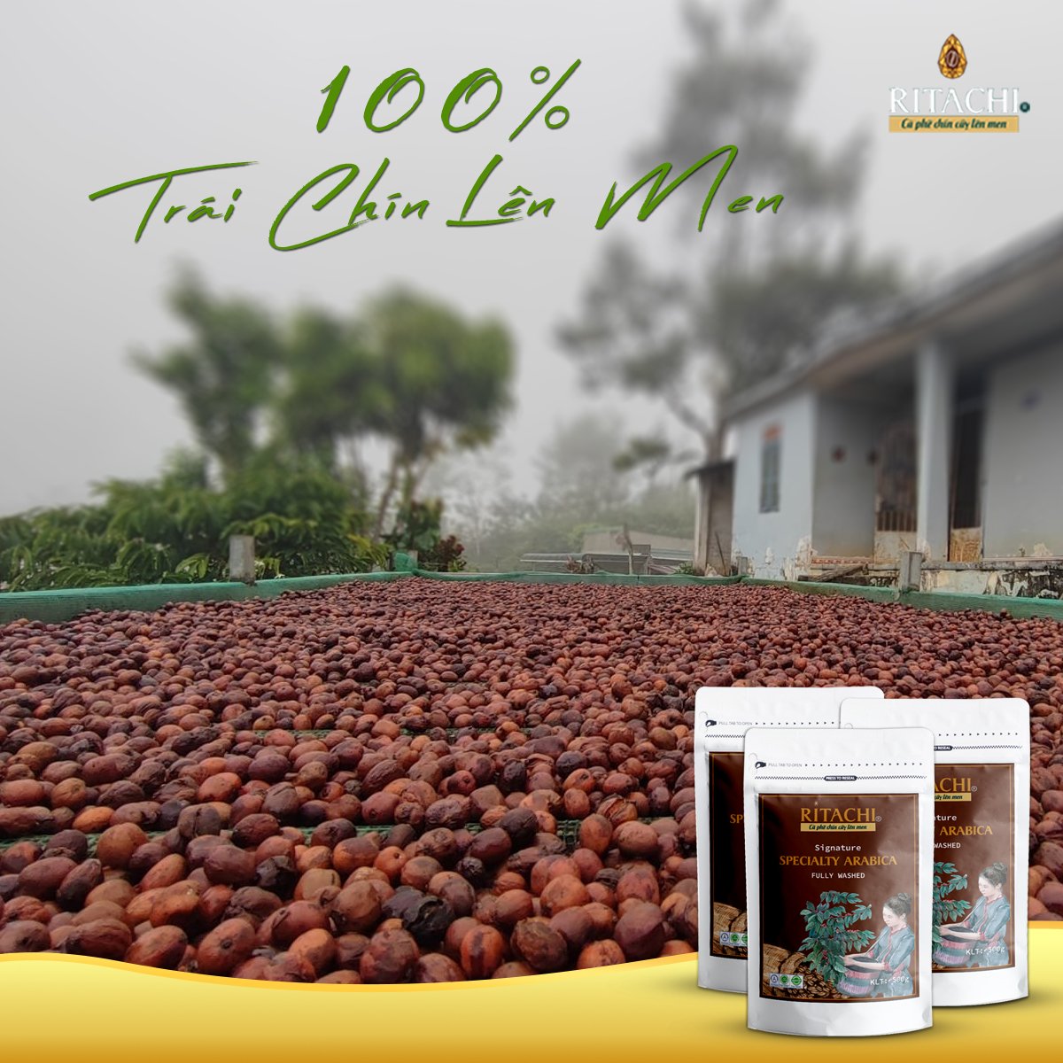 Combo Cà phê Filter Blend và Espresso Blend, Phối Cafe Arabica và Rubusta, 100% Rang Mộc,Cà Phê Pha Máy, Pha Phin, Cold Brew, Fine Robusta và Specialty Arabica 2 gói 250gr
