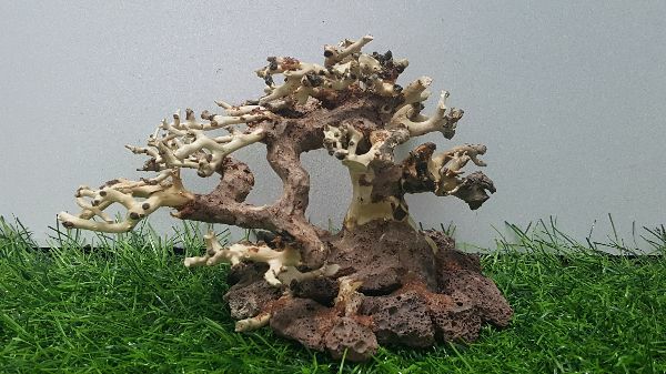 Lũa bonsai cấy rêu ôm đá(N 17- C10)