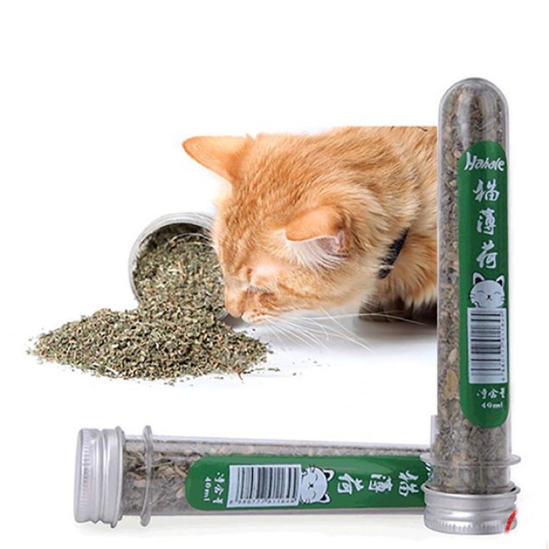 Ống Cỏ Bạc Hà Catnip Cho Mèo