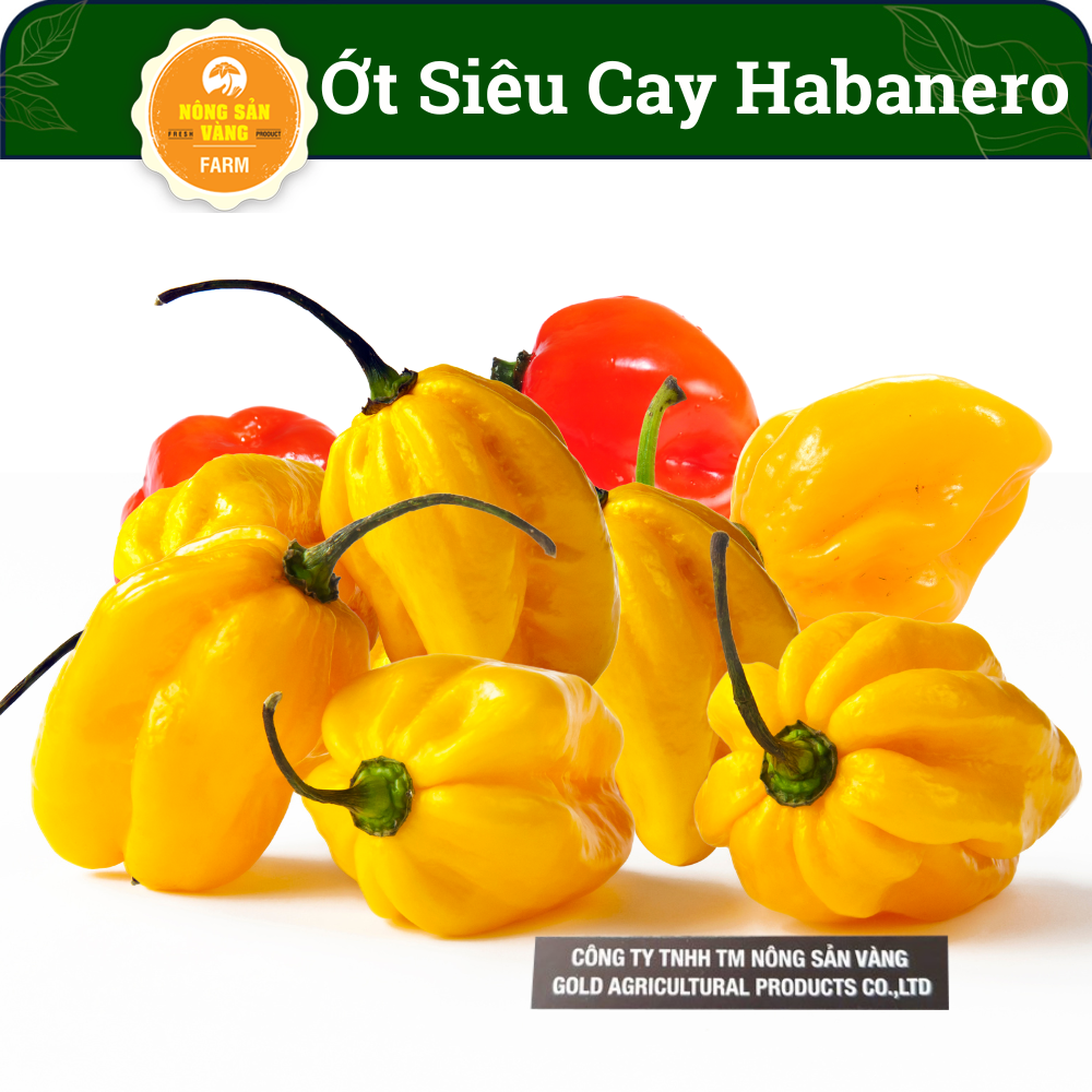 Fruit seeds, seedlings, Sprout, growth, healthy-shallow yellow