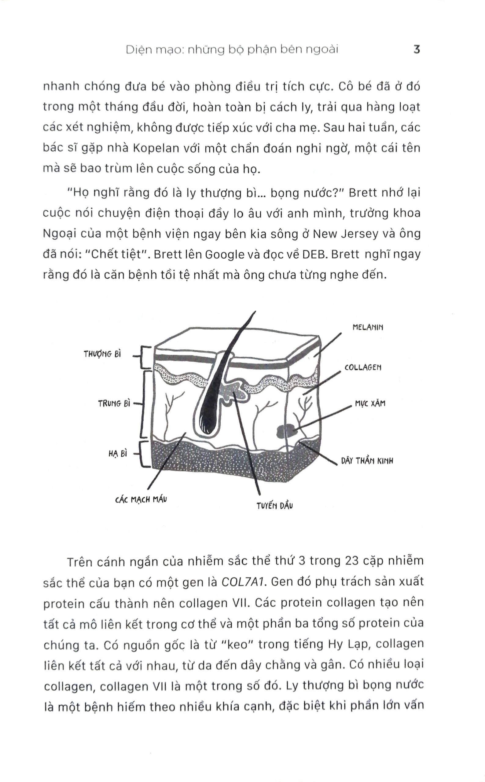 Sách Mới Alphabooks - Lắng Nghe Cơ Thể