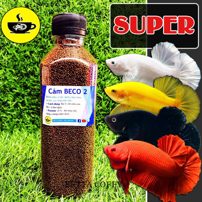 🥩 BETTA SUPER - phụ kiện trang trí hồ cá 🐠  BETTA COFFY