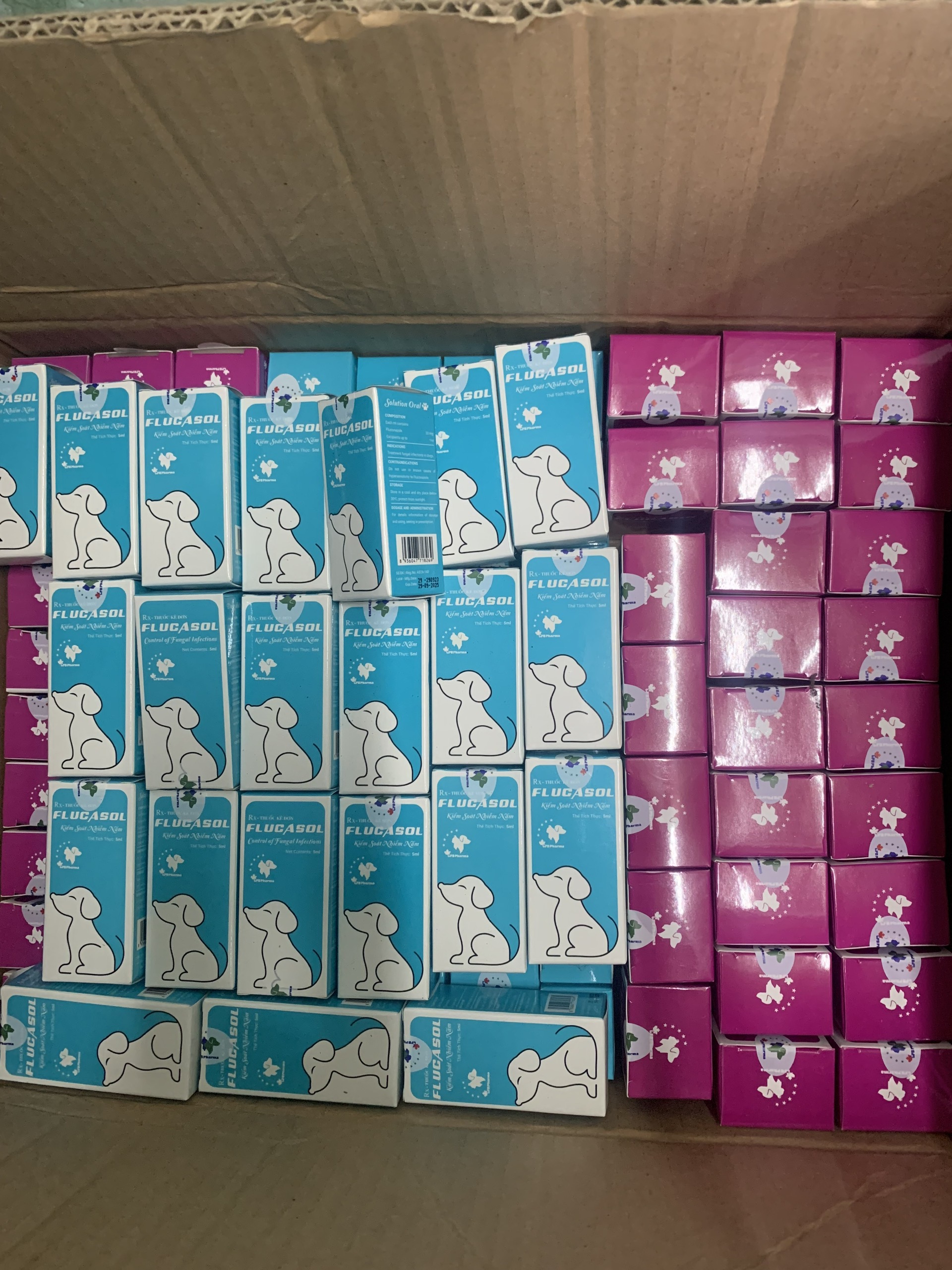 Dung dịch bôi Nấm da cho chó mèo FLUCASOL CANADA chai 5 ml