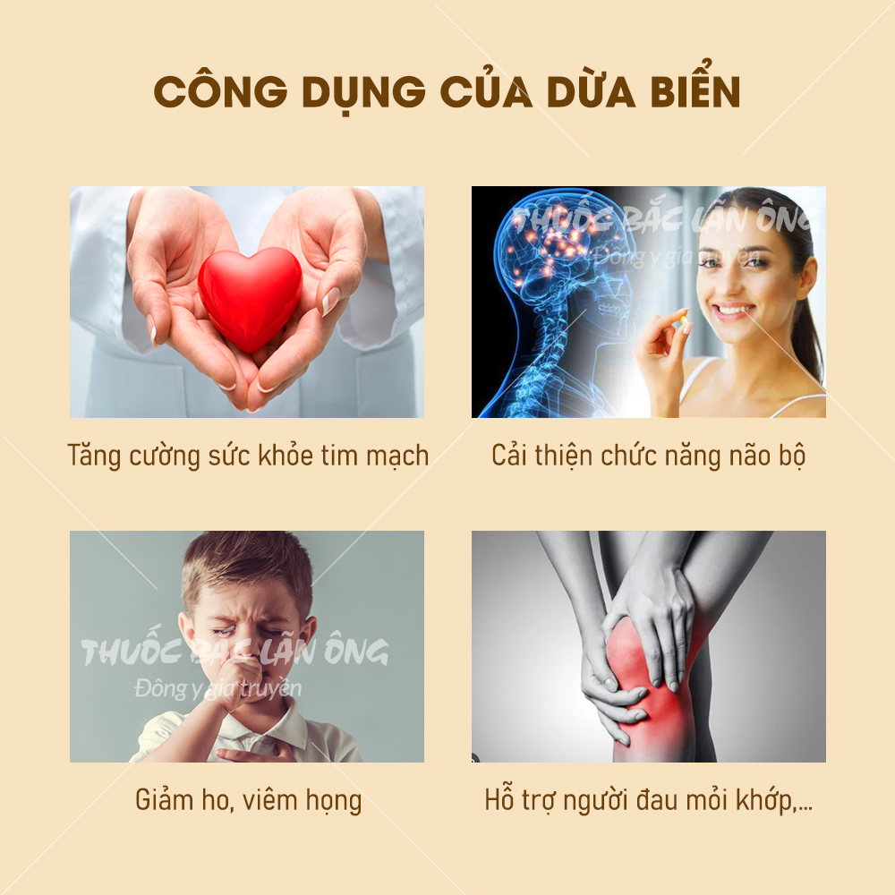 Dừa biển khô 500g, dùng nấu canh, pha trà bổ phế, thanh nhiệt, tốt cho sức khỏe - Lãn Ông