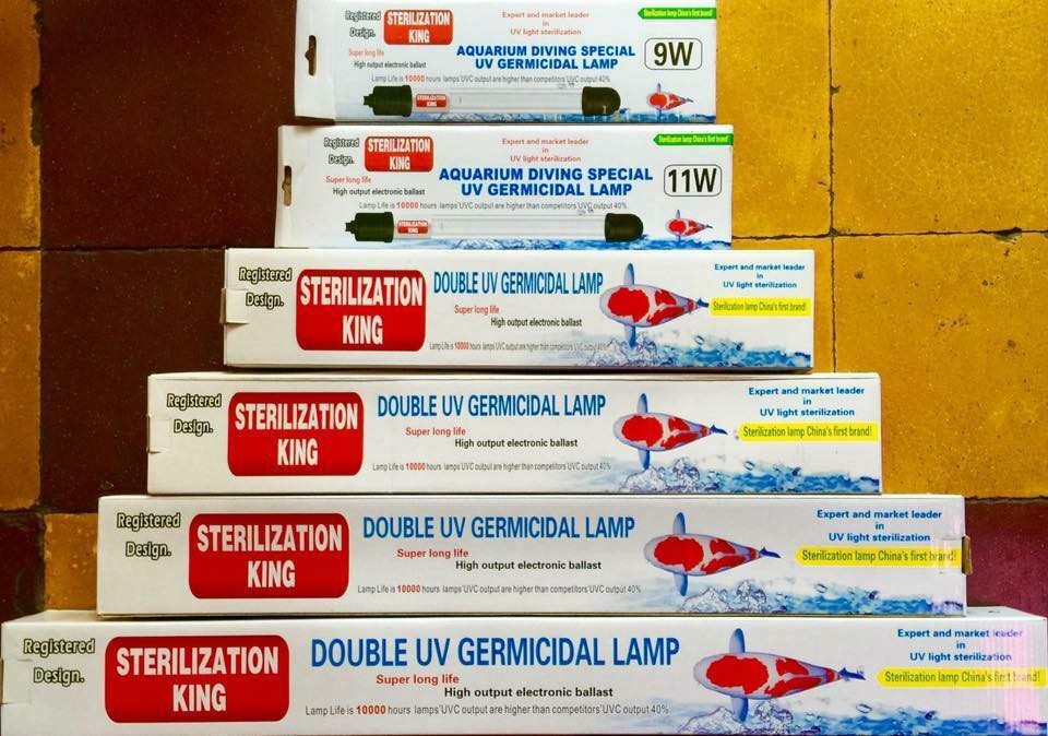 Đèn UV diệt tảo hồ koi 40W
