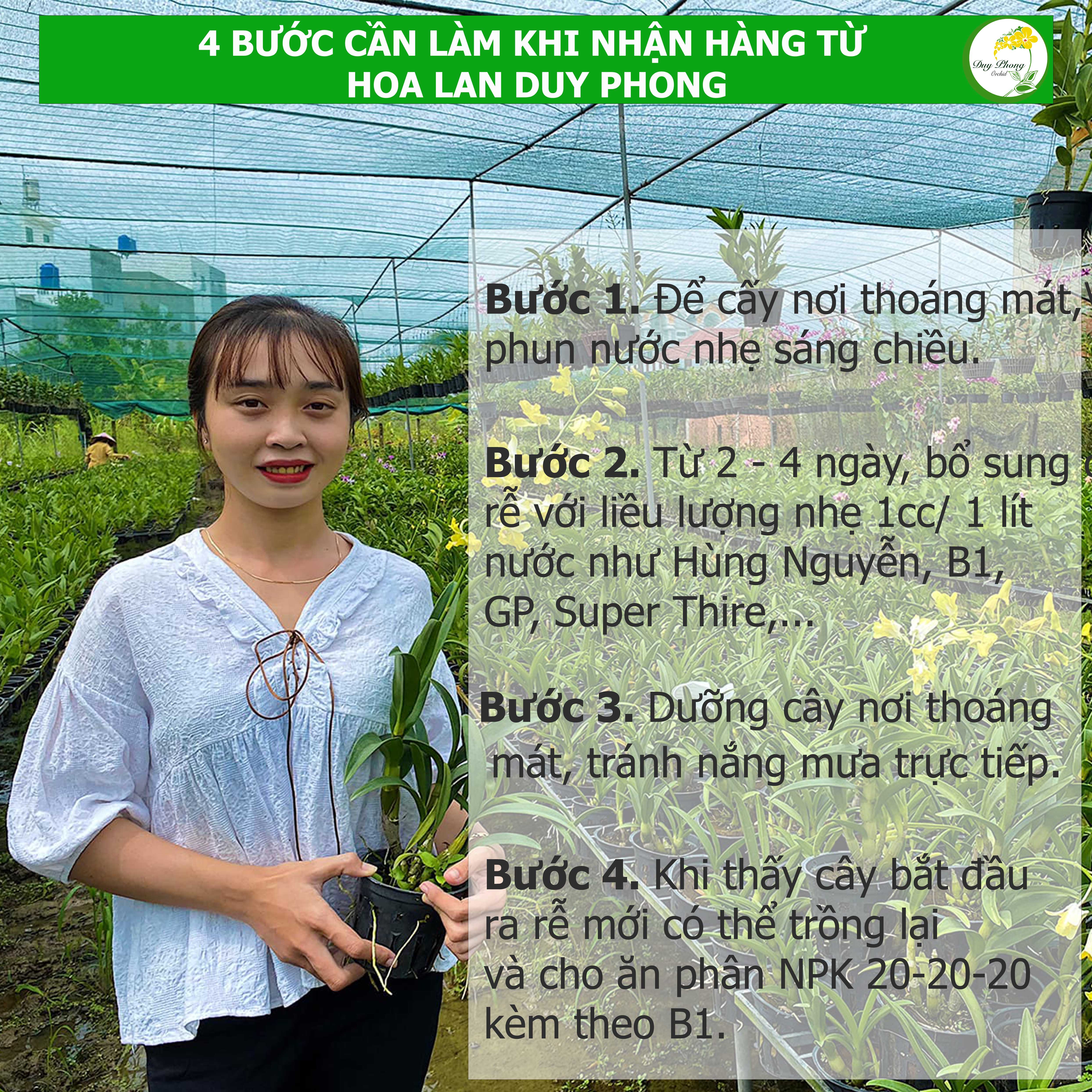 Phân Chì Nhật Cho Lan Dạng Tan Chậm 14-13-13+ME