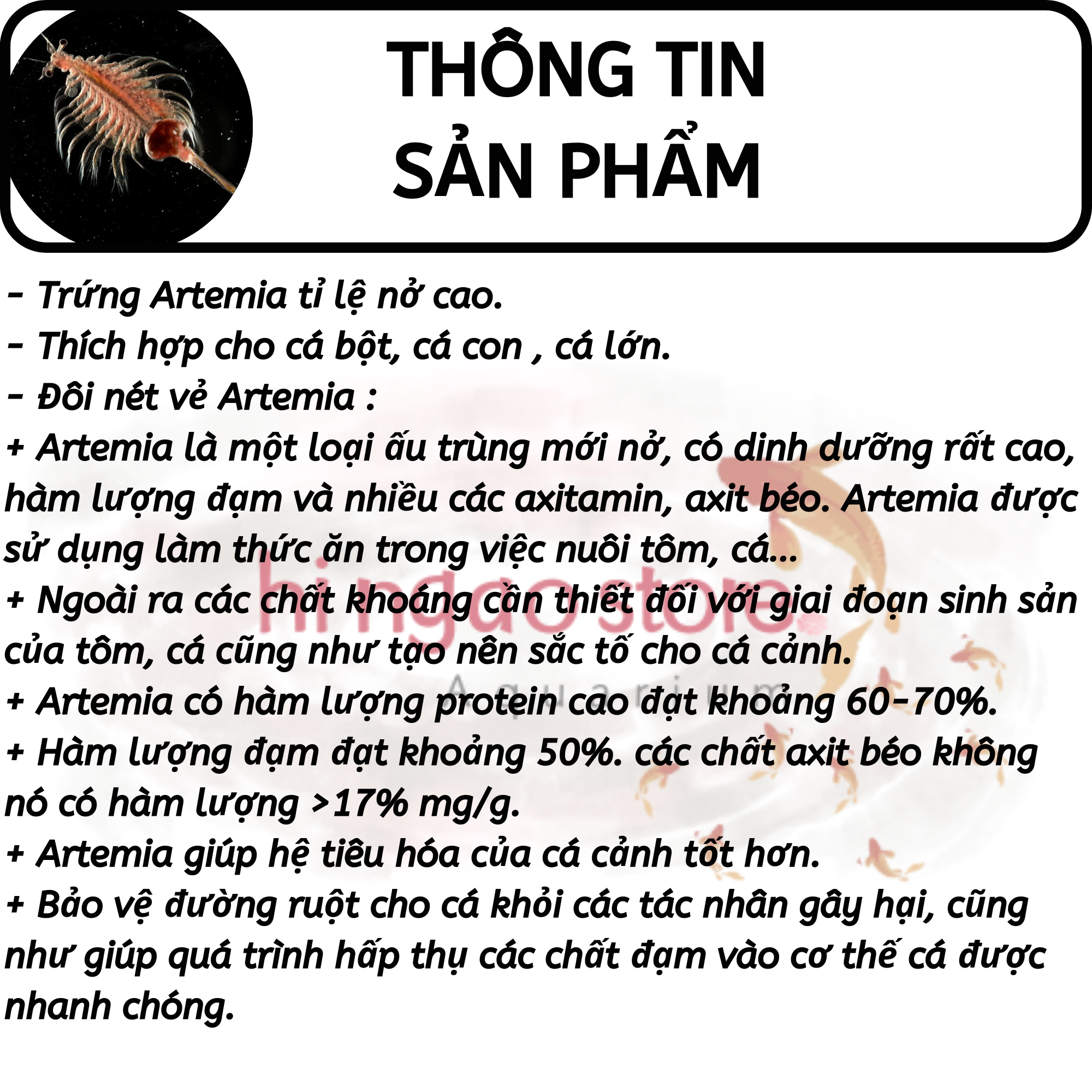Thai Artemia il eggs with high rate (odd)-Caviar fish feed (5) | Hingaostore.