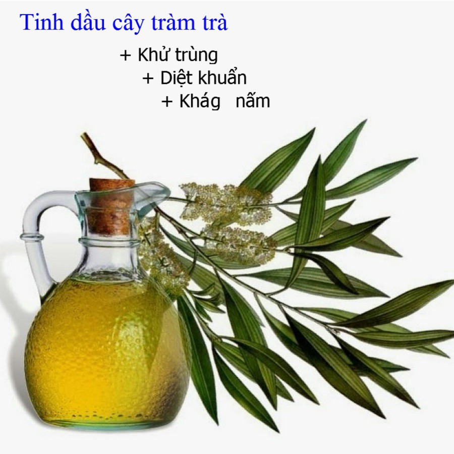 Dung Dịch Vệ Sinh Phụ Nữ Anteka 370ml(trà xanh)