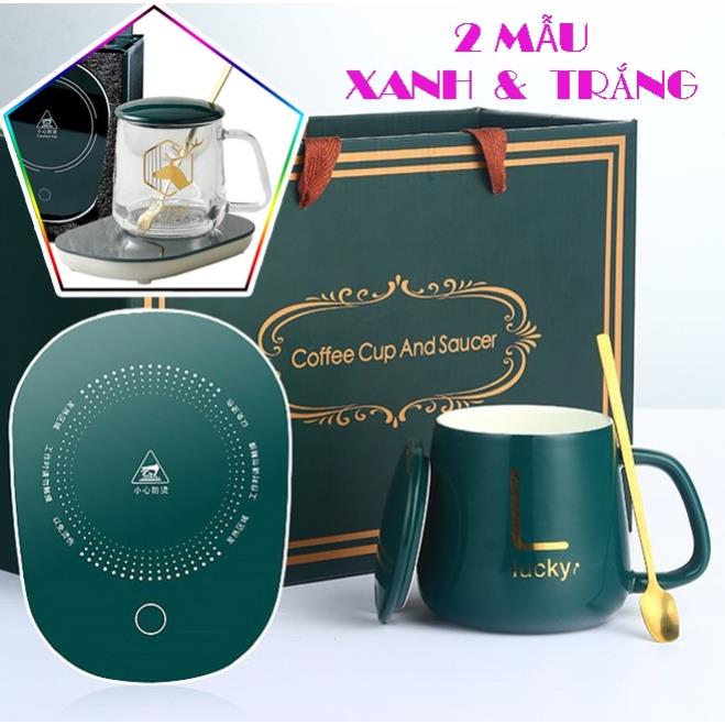 Bộ cốc chưng yến lucky xanh