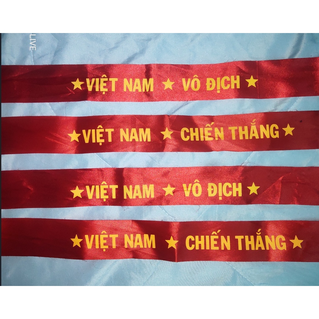Băng rôn cổ động Việt Nam