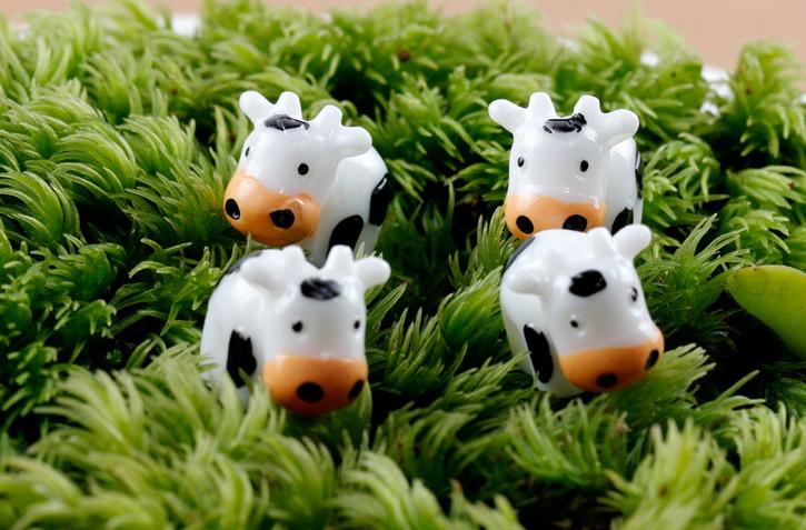 [HCM]Combo 3 con bò sữa nhỏ trang trí tiểu cảnh thủy sinh terrarium chậu cây cảnh sen đá