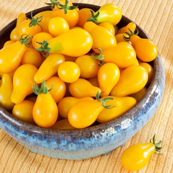 [Mới] - Hạt giống Ớt bi