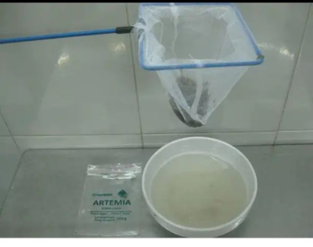 [HCM]Vợt vớt cá cán nhựa CỨNG