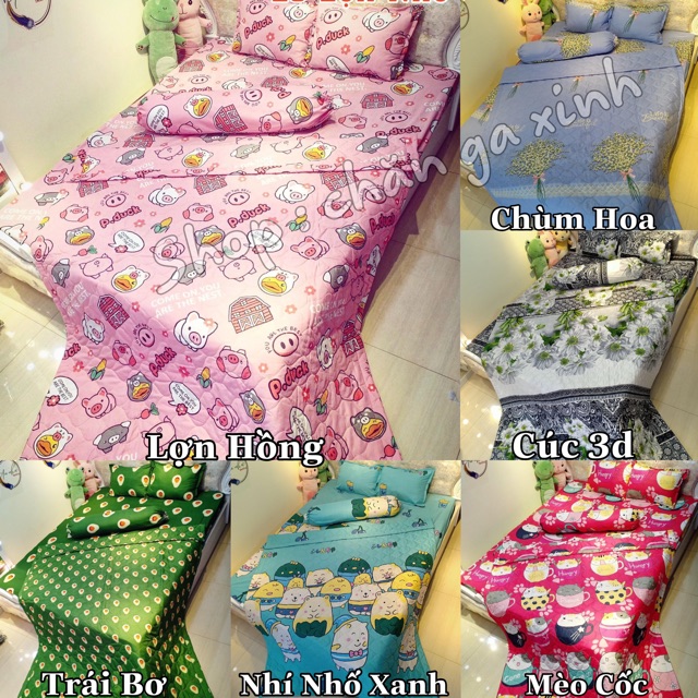 Set 5 Món Chăn Ga gối Poly Cotton ( được chọn mẫu )