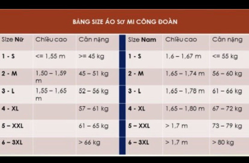 Sơ mi Công đoàn Nữ ngắn tay