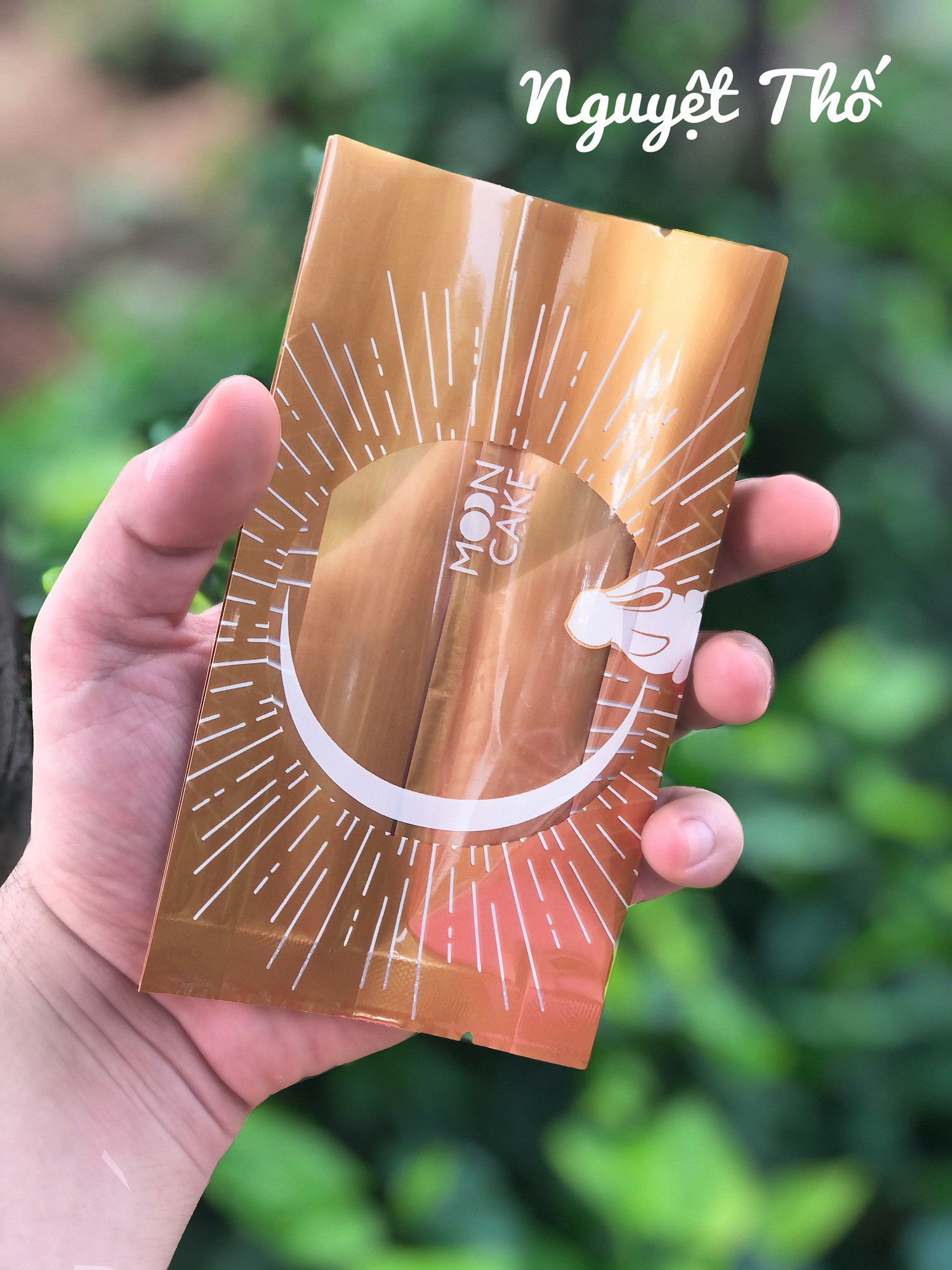 Size 200g túi khay đựng bánh trung thu combo 100 túi hàn miệng, 100 khay trong đựng bánh trung thu 200g