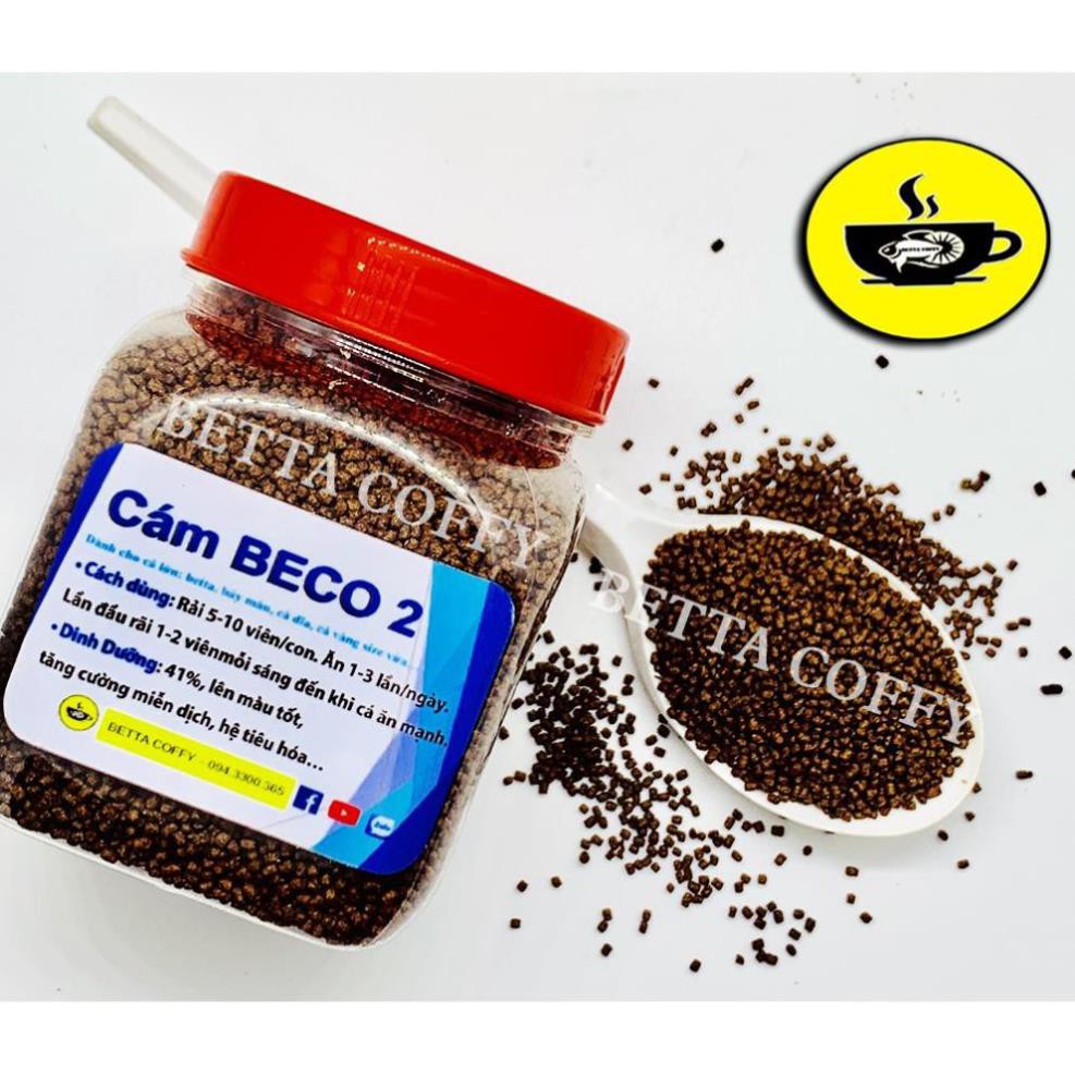 Cám BECO 2 - Thức ăn cho cá lớn 🐠 BETTA COFFY  FARM FARM