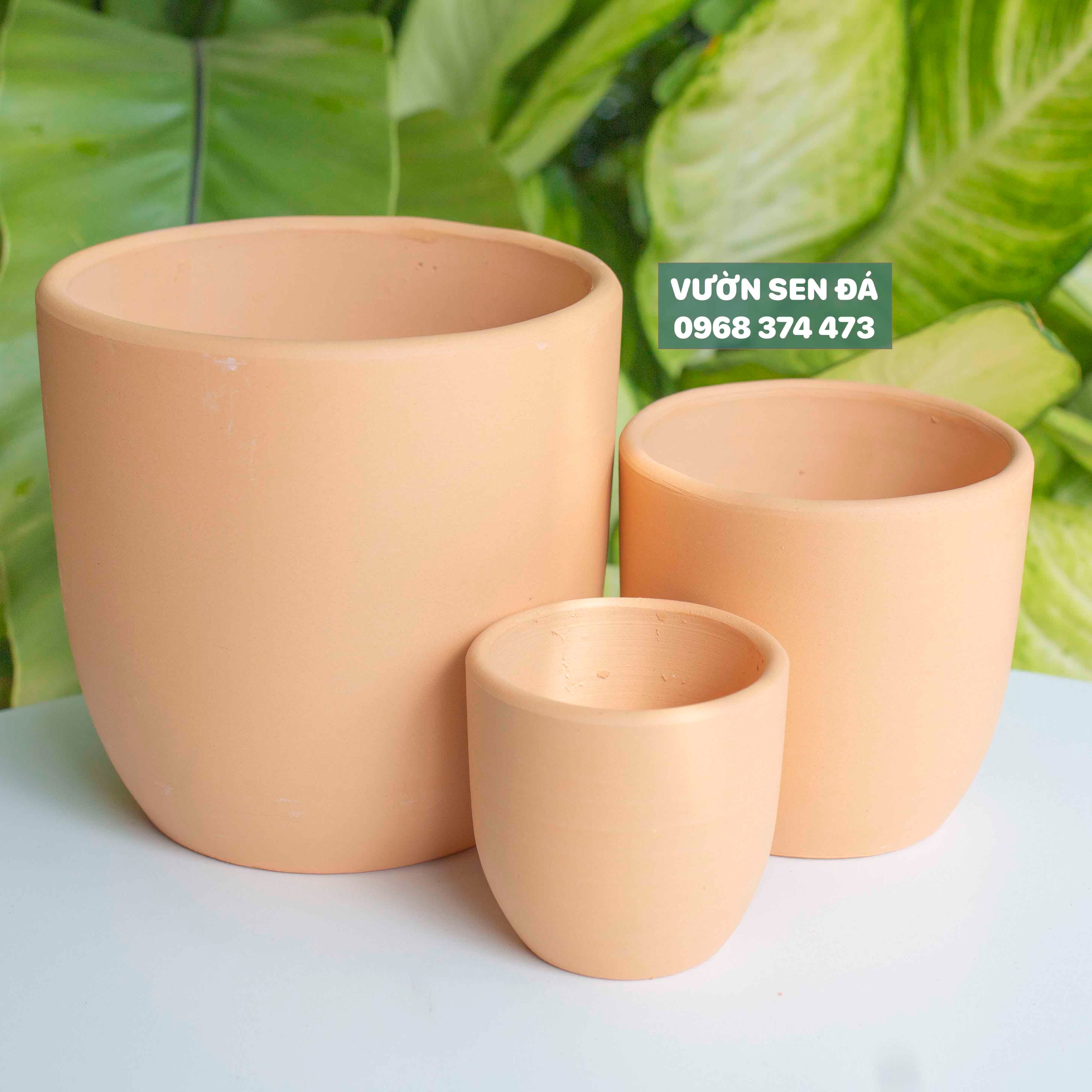 Chậu đất nung trụ bo (đất nung vàng)