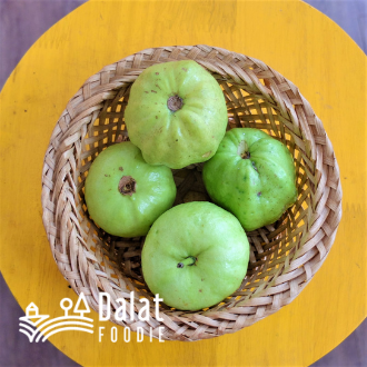 Ổi Nữ Hoàng/Ổi Không Hạt Cắt Sẵn Hộp 400G - [Giao hàng ngay tại TPHCM]