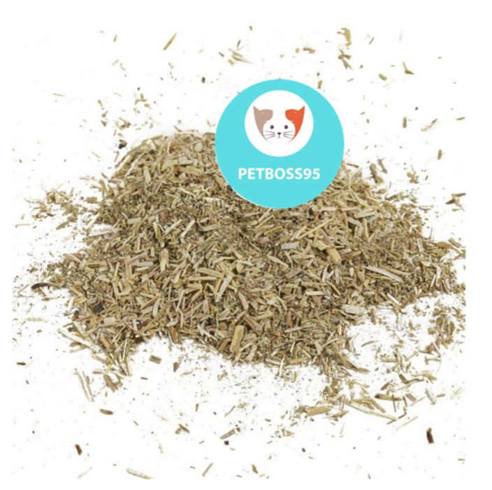 CỎ CATNIP CHO MÈO NGỬI GIẢM STRESS (1 GÓI 2gram)