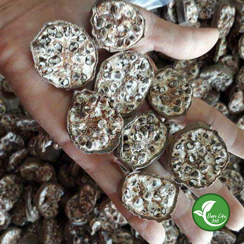 Chuối hột rừng khô - dvl071