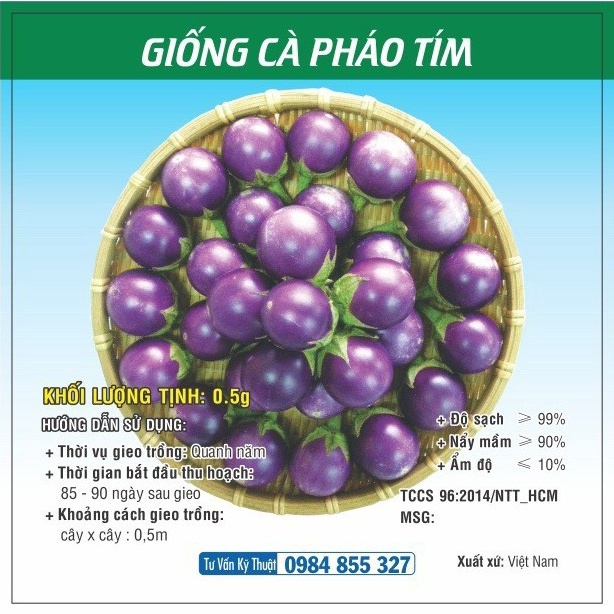 Hạt giống Cà Pháo Tím - Cà Pháo Trắng TN - 49