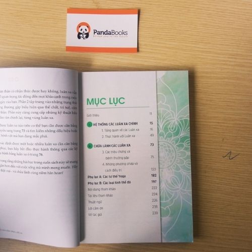 Sách - Chữa bệnh bằng luân xa
