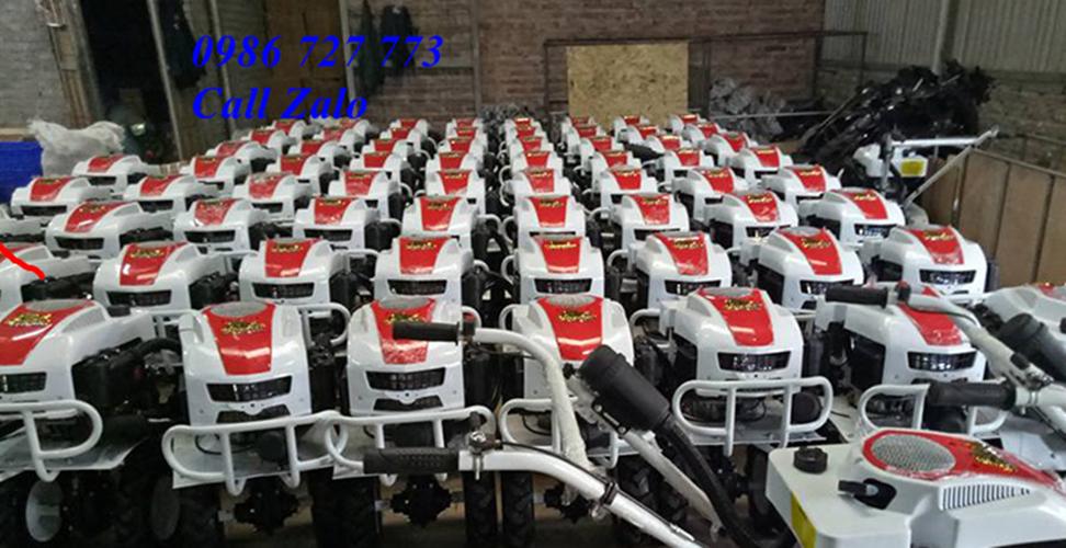Máy xới đất con trâu vàng Kachita 1WG4
