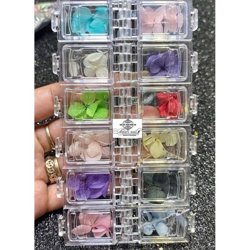 Hoa khô ẩn gel trang trí Nail siêu đẹp