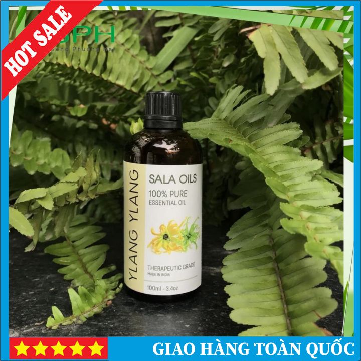 Tinh dầu ngọc lan tây Sala Oils