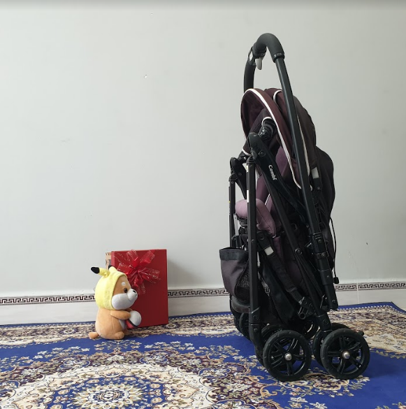 Xe đẩy trẻ em Combi First