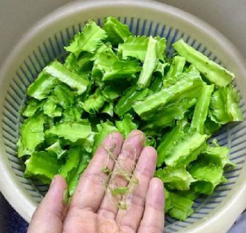 Túi 5gram Hạt giống đậu rồng
