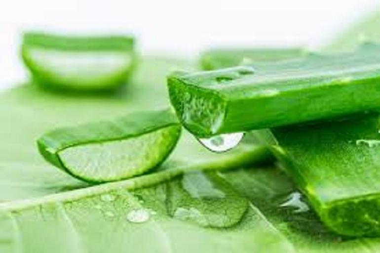 [HCM]TONER DƯỠNG DA NHA ĐAM MẸ KEN