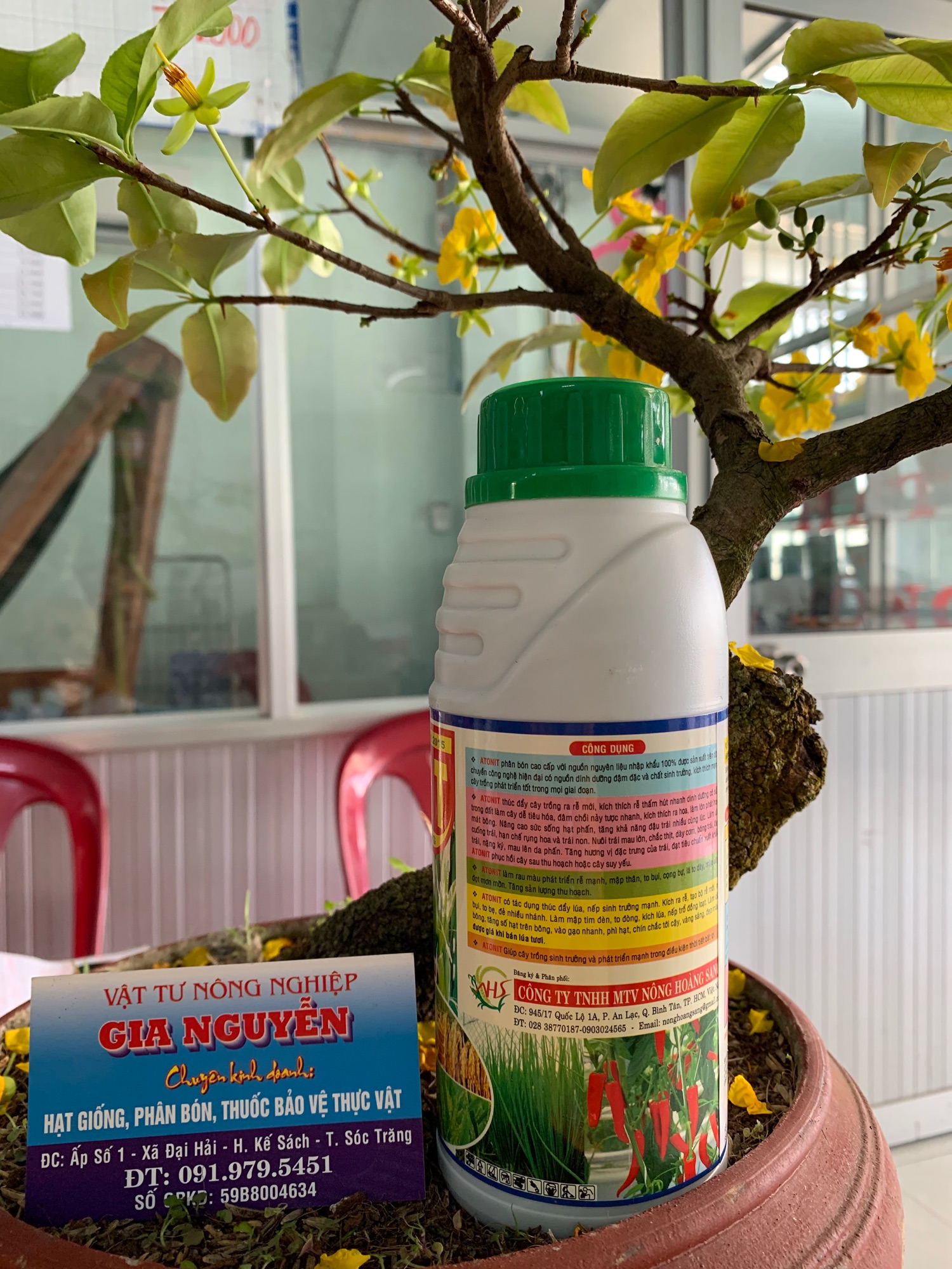 Tăng cường sinh trưởng ATONIT 500ml