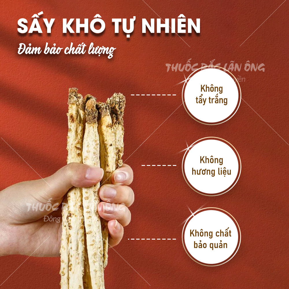 Sa sâm khô 100g, rễ sa sâm bắc, nguyên củ, thái lát, thơm, sạch - Lãn Ông