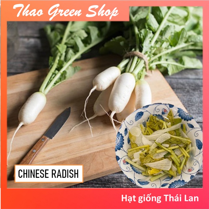 Hạt giống củ cải trắng muối dưa