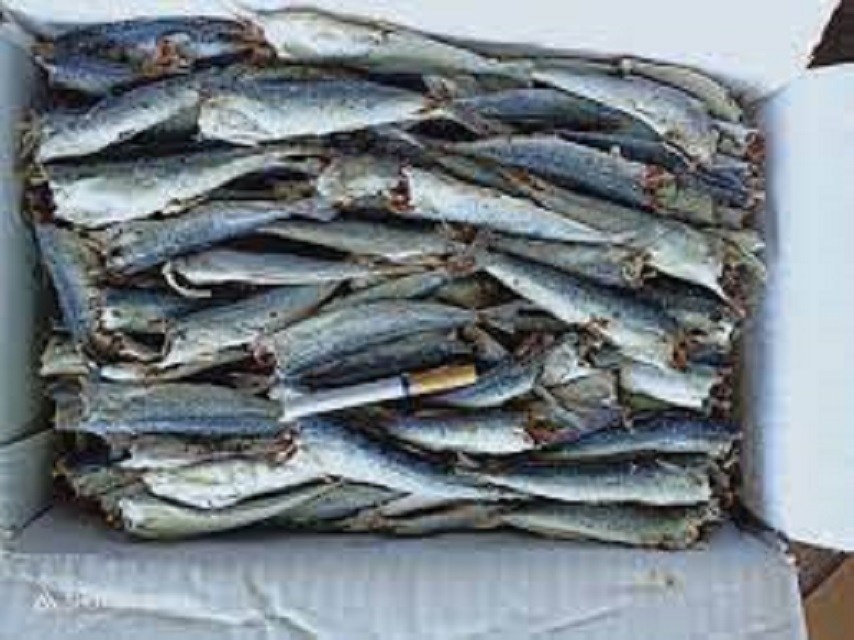 1kg cá nục khô mặn