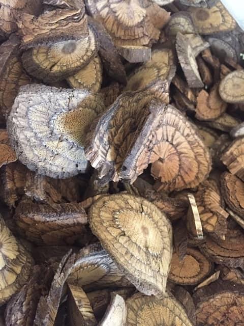 Dây Gắm Gút, xương khớp 500g