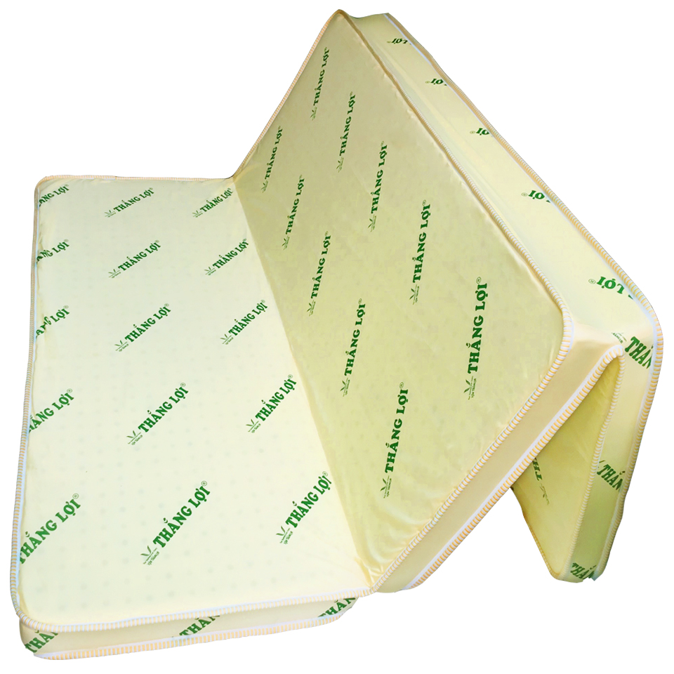 (FREE SHIP HCM ) Nệm Cao Su Non Thắng Lợi Gấp 3 1m8x2mx10cm, Nệm cao su thoáng mát, đàn hồi tốt